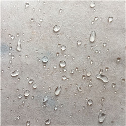 VTer-SN-001(White Membrane)_Copy.jpg